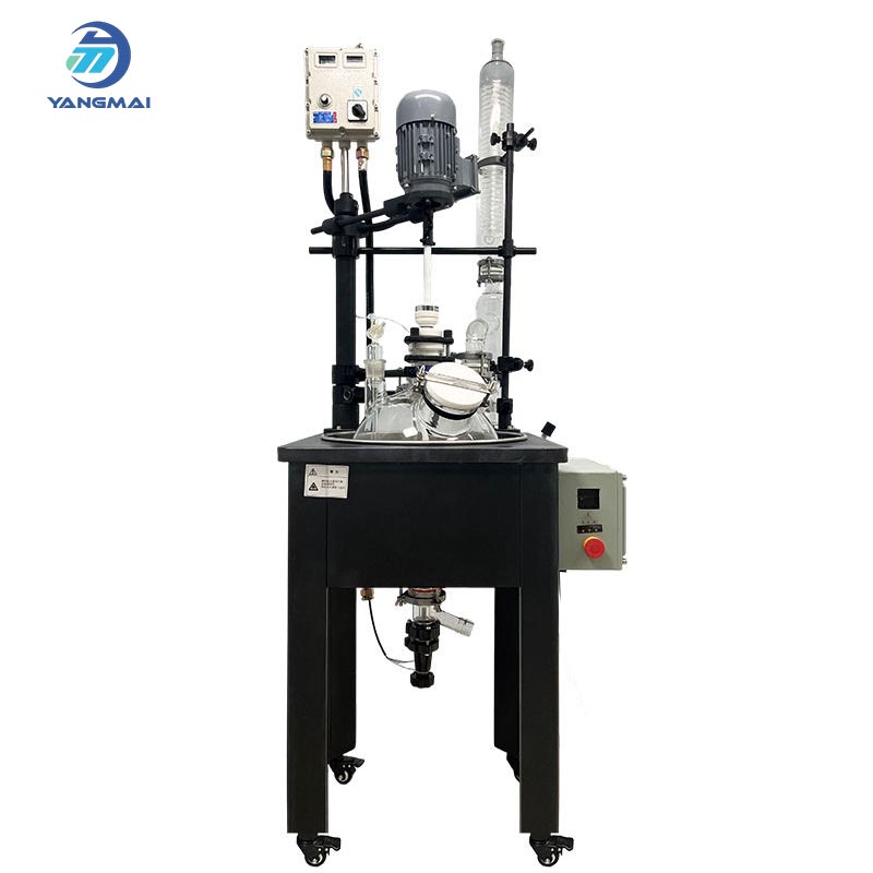 Borosilicate Glass Reactor for Hydrolysis in Chemistry
