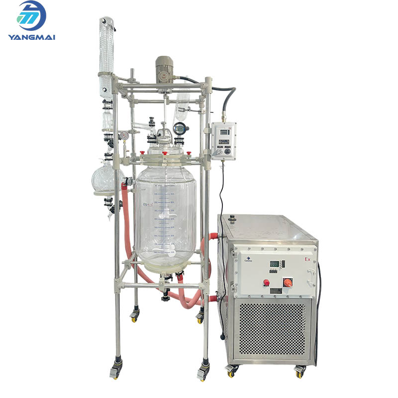 Reactor de vidrio con circulador integrado de alta y baja temperatura