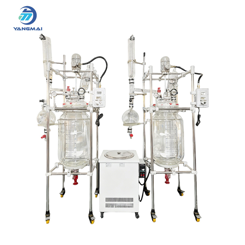 Maximice la eficiencia de su laboratorio con reactores de vidrio de alta calidad