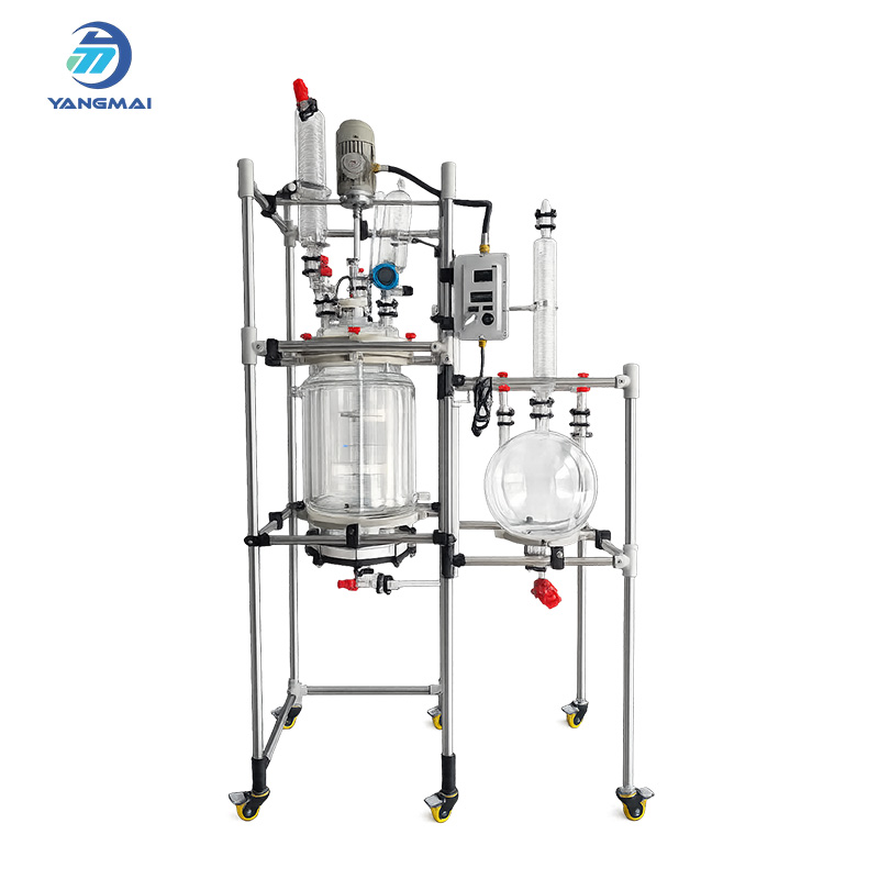 Reactor de fase sólida de vidrio (reactor Nutsche de vidrio) para un procesamiento químico eficiente | Hefei Yangmai
