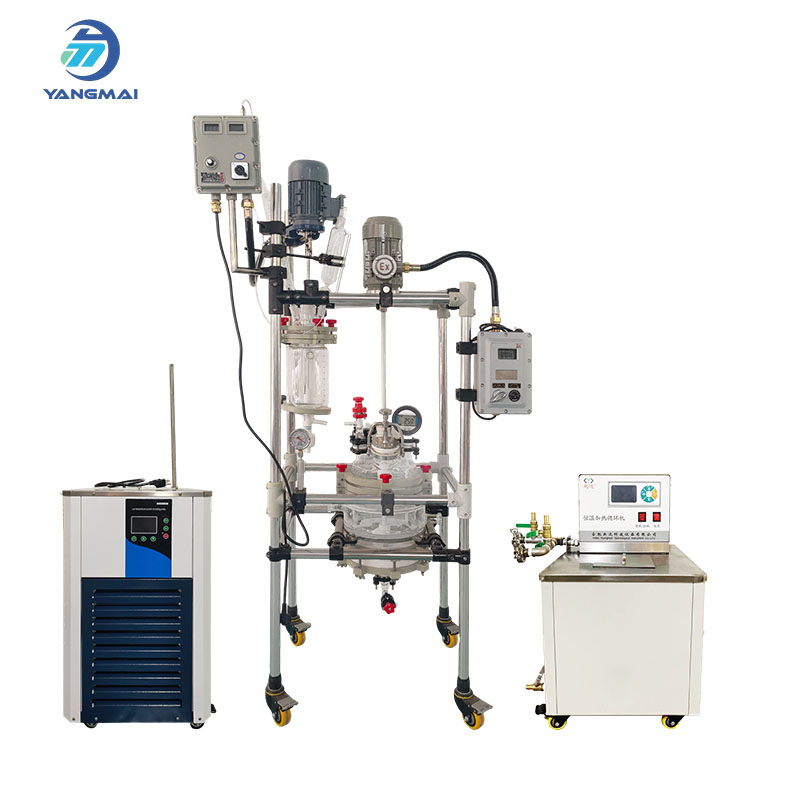 Reactor de vidrio de fase sólida personalizado para aplicaciones farmacéuticas y químicas.